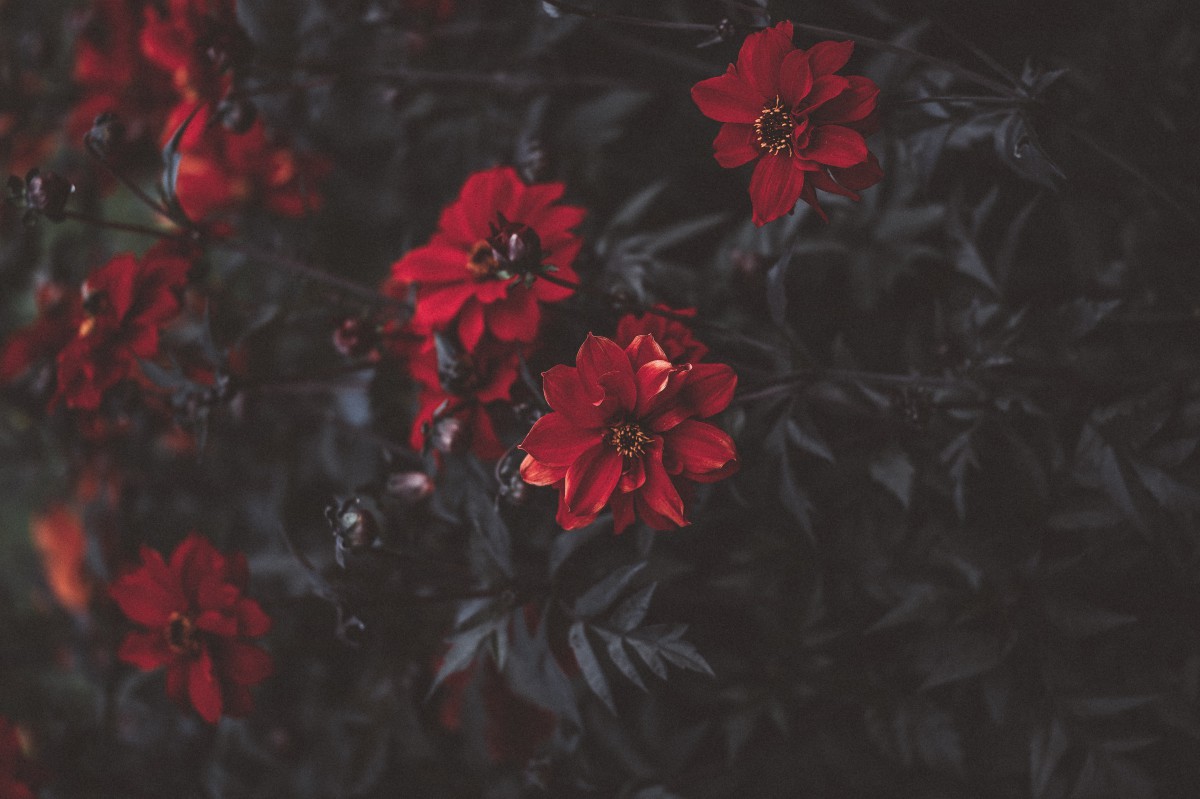 annie-spratt-KCQz_b2Hgi8-unsplash