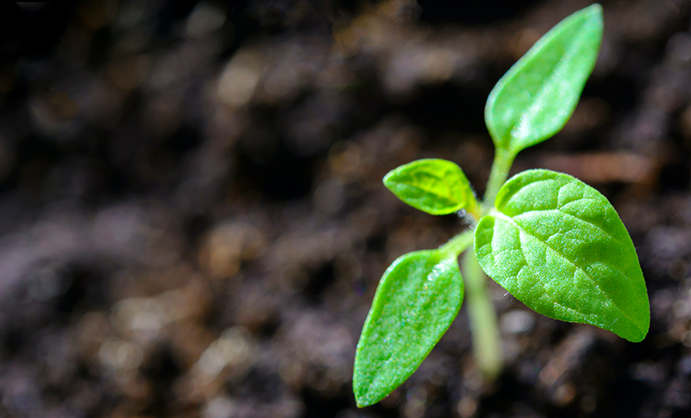 Screenshot 2020-06-03 at 19.16.59 Screenshot 2020-06-03 at 19.16.59